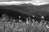 Art_photography