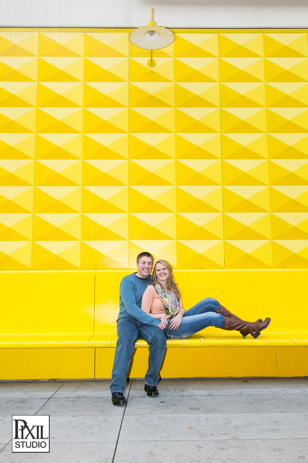 Denver Engagement pics