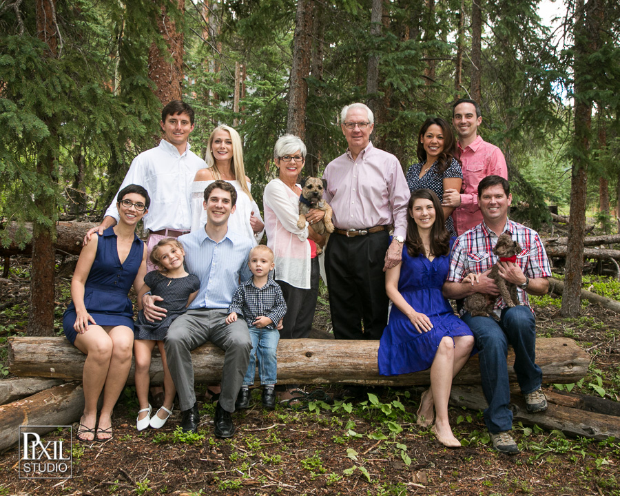 family portrait denver family-reunion
