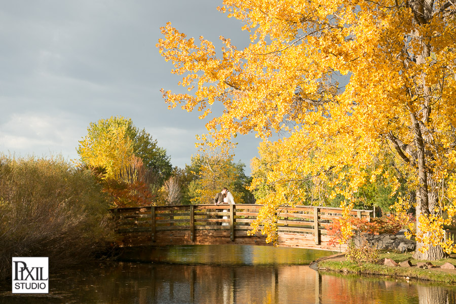 wedding hudson gardens fall