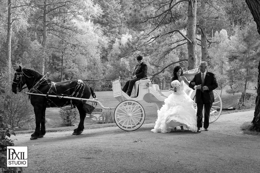 horse carriage wedding