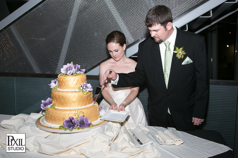 Denver Natural Science Museum Wedding Photography 