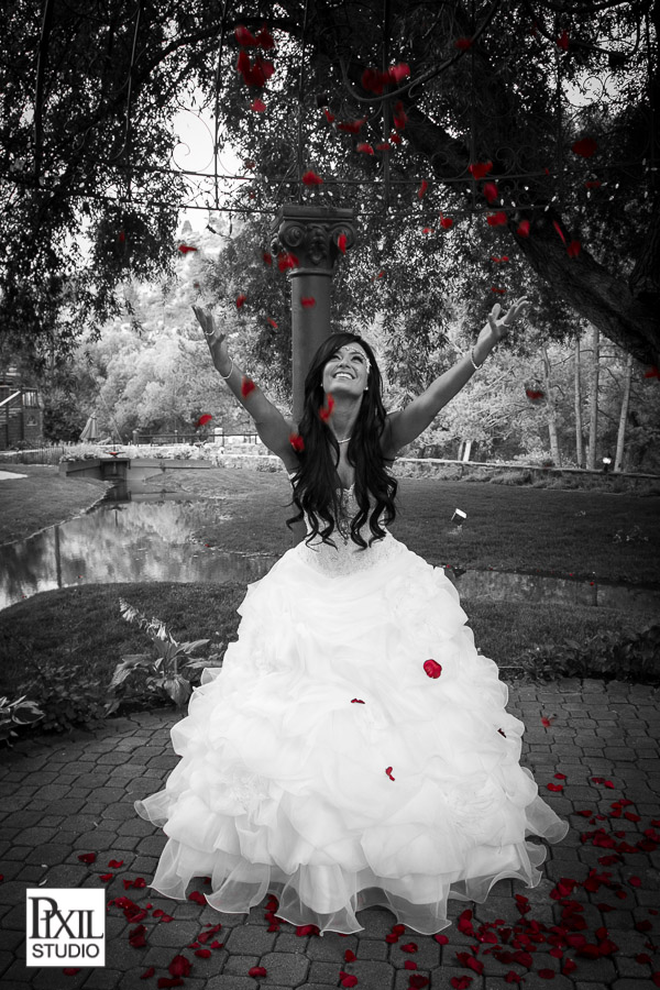 Four Seasons Wedding Photography 
