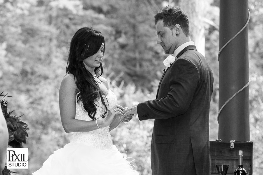 Four Seasons Wedding Photography 