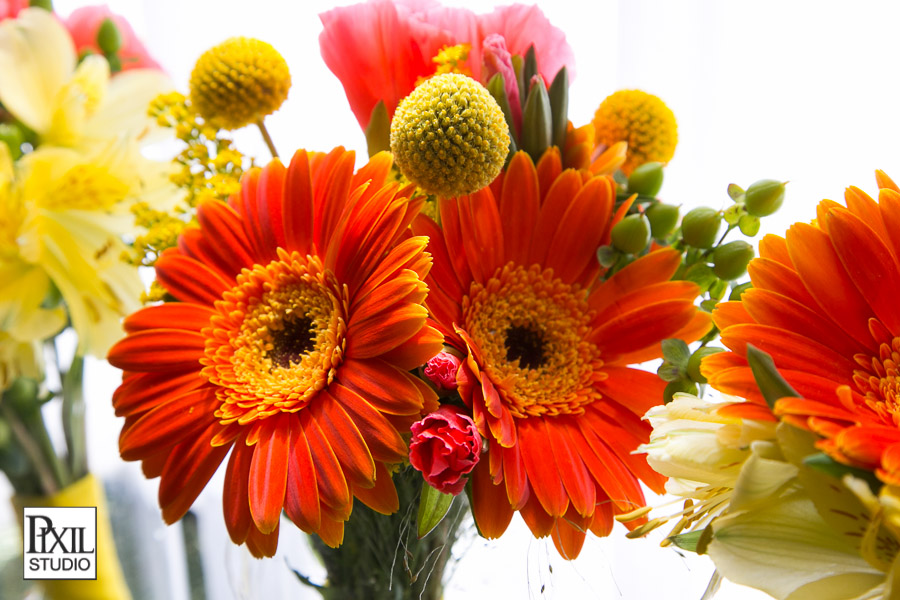 Fort collins Brewery Wedding