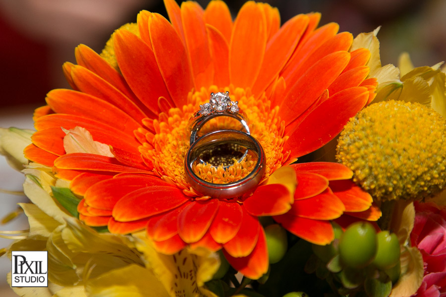 Fort collins Brewery Wedding