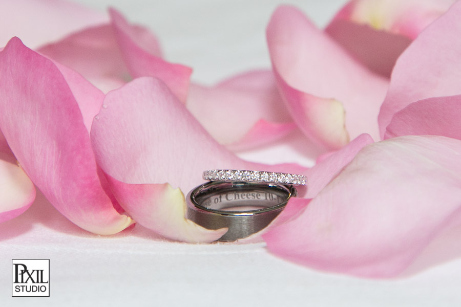 Hudson Gardens Wedding Photography 