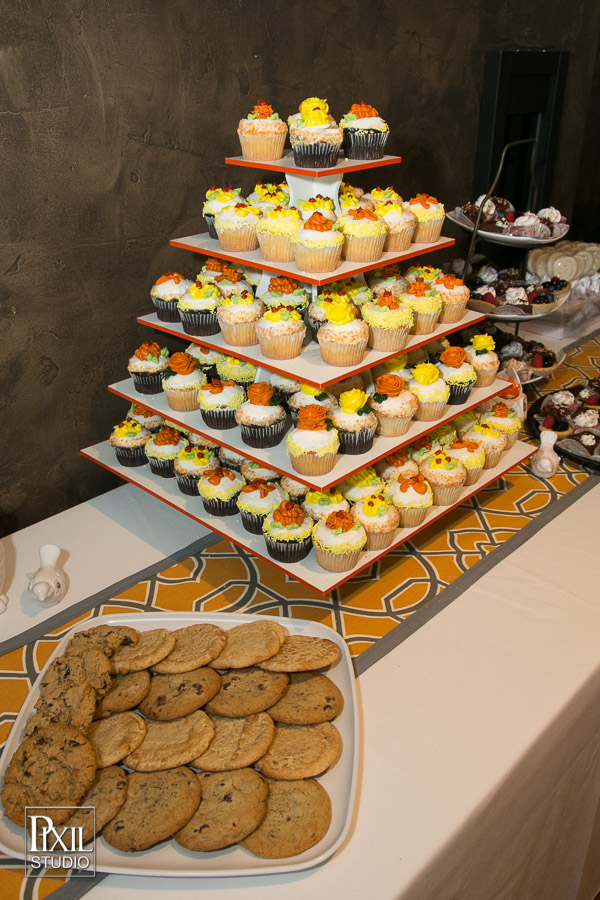 longmeadow wedding photographer