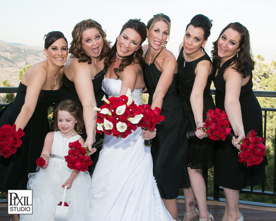 Mount Vernon Wedding