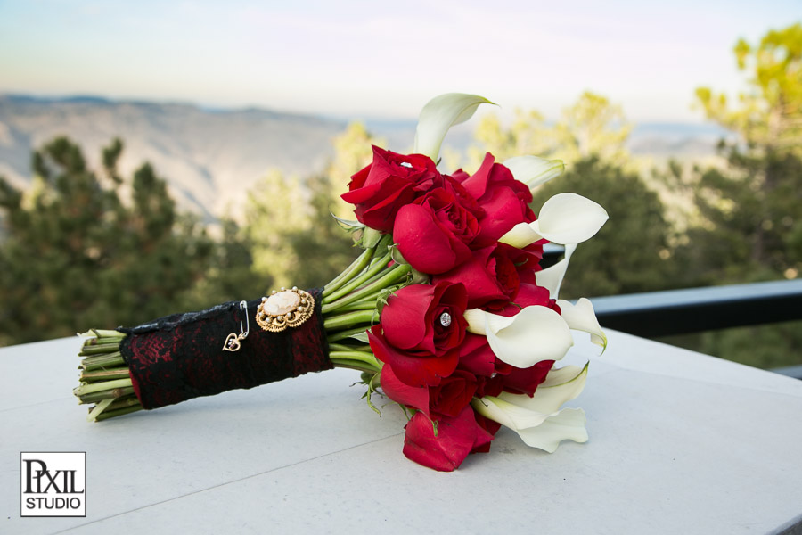 Mount Vernon Wedding