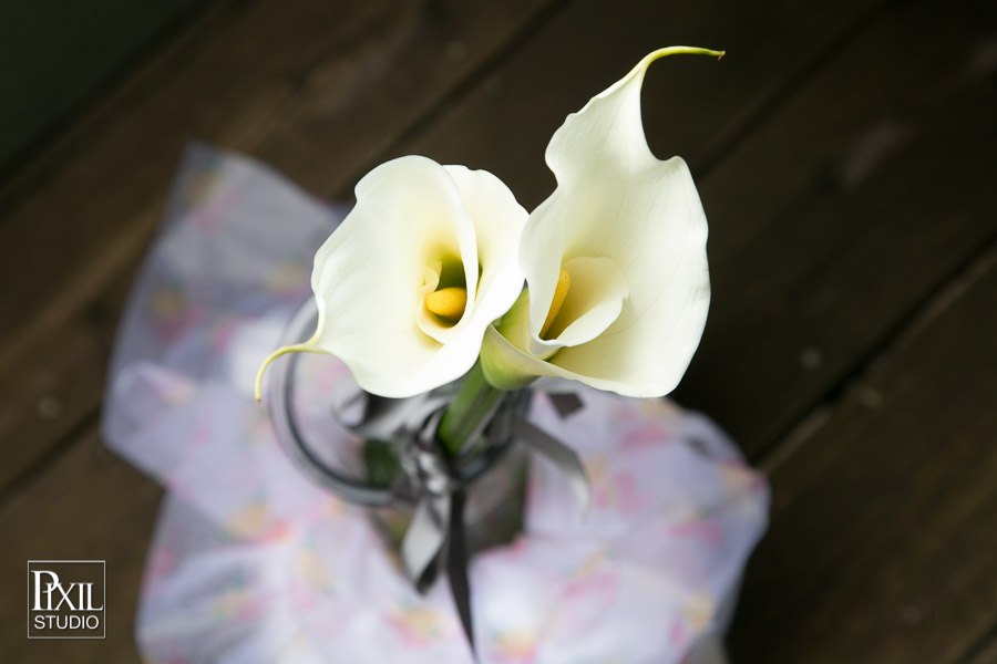 pixil studio photography