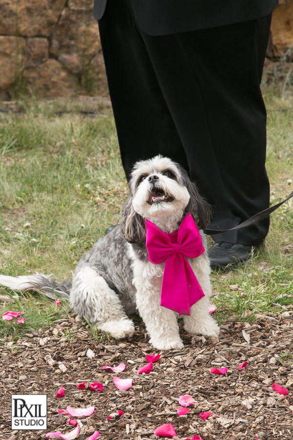 Ritz Beaver Creek wedding photographer