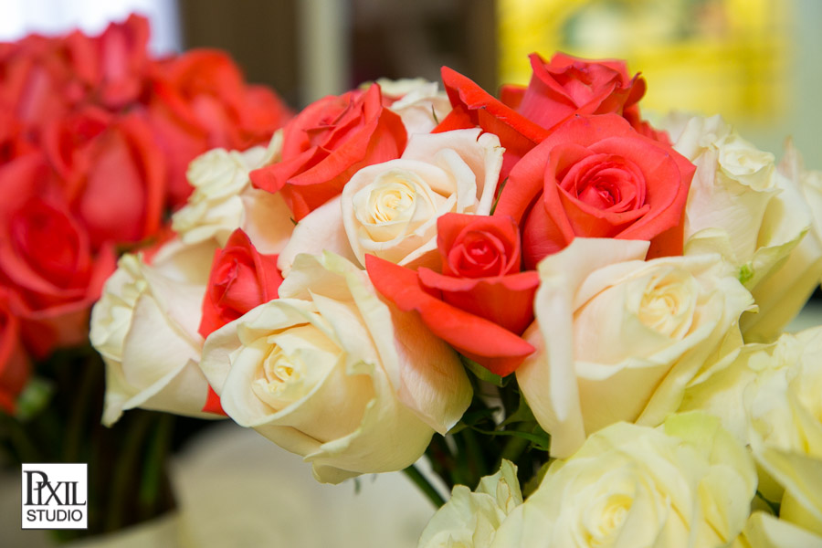 Solterra wedding photographer