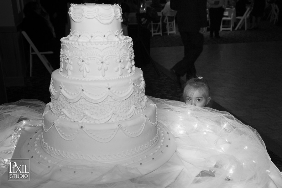 pixil studio photography