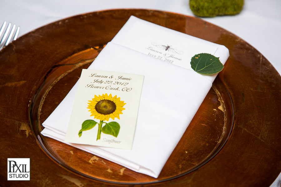 Vista at Arrowhead Wedding Photography 